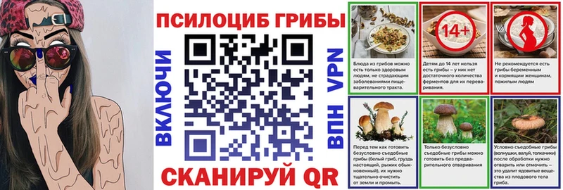 omg   наркошоп  Шелехов  Псилоцибиновые грибы мицелий 